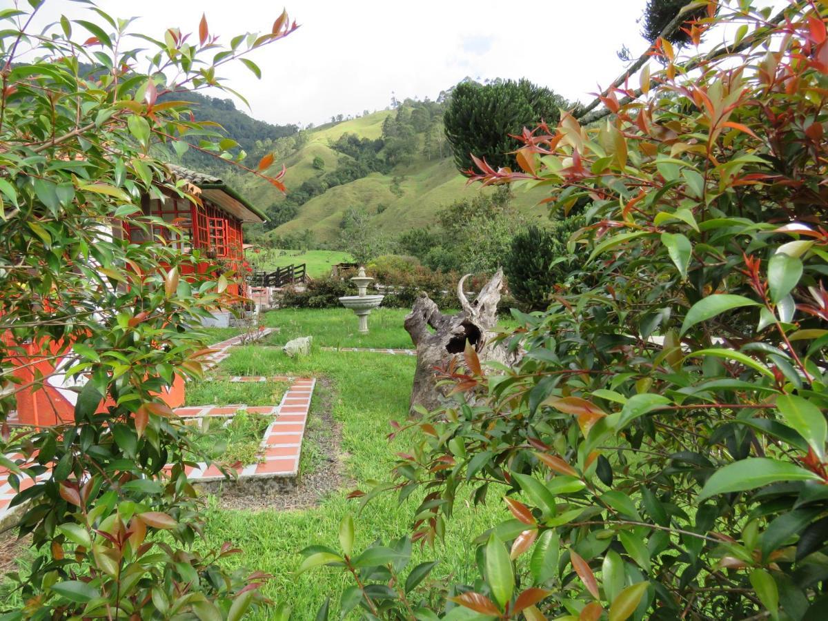 Ecohotel Pinohermoso Reserva Natural Salento Esterno foto