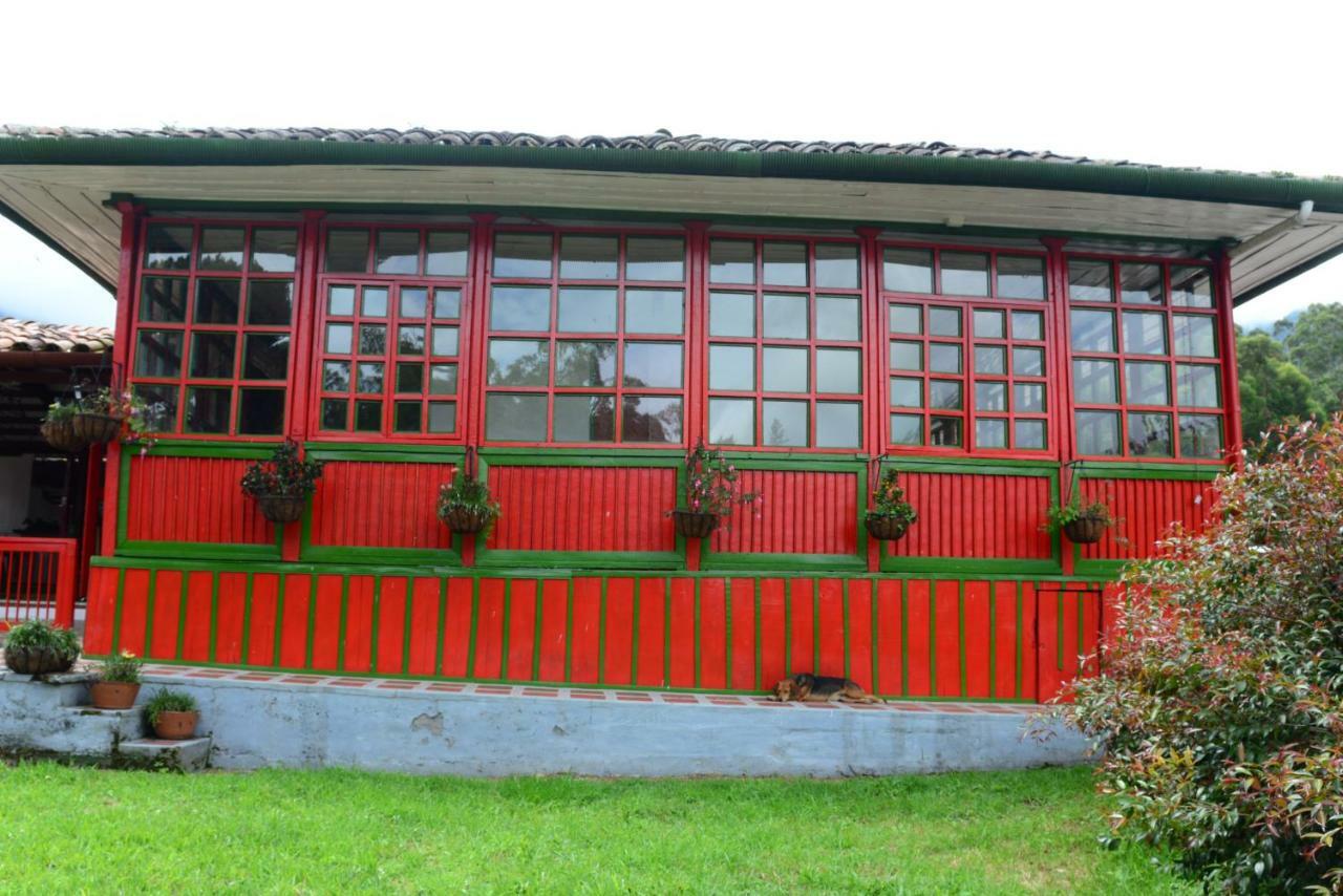 Ecohotel Pinohermoso Reserva Natural Salento Esterno foto