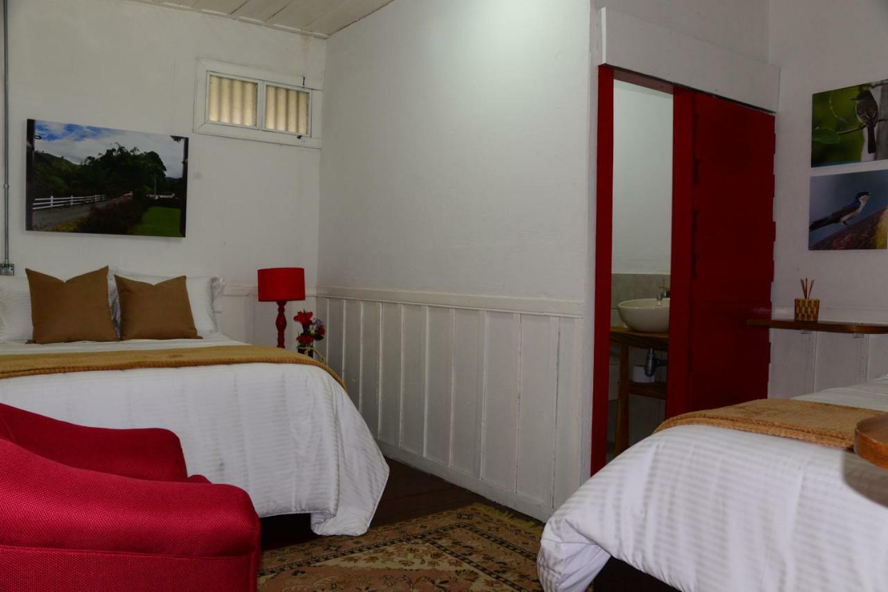Ecohotel Pinohermoso Reserva Natural Salento Esterno foto